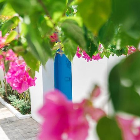 Villa Diola 3 Canggu Екстериор снимка