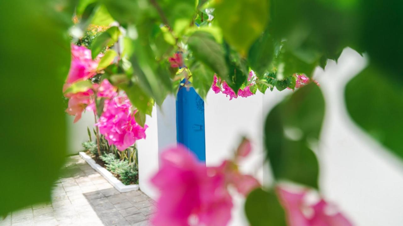 Villa Diola 3 Canggu Екстериор снимка